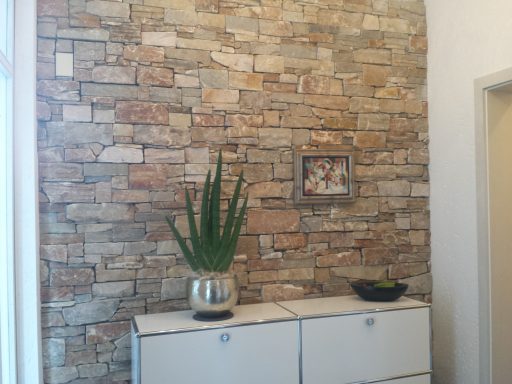 Steinwand mit Pflanze in einem Topf und dekorativem Bild über einem modernen Sideboard.