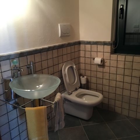 Gäste-WC vorher Gäste-WC vor der Modernisierung in einer Ferienimmobilie am Gardasee